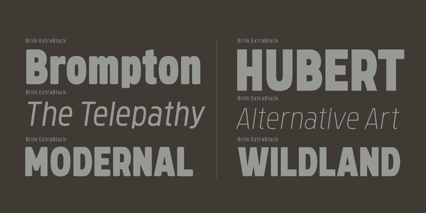 Brilk Extra Bold Italic Font preview